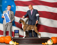 Boxers #25 Sat G1 Robbins Cheryl Keith Agent Michael Shepherd Judge Mr Rick Gschwender