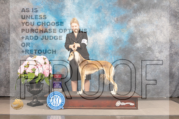 Saluki #16 Sat BOS Judge Barbara Alderman_MJ_7313_Houston_2022_HR3