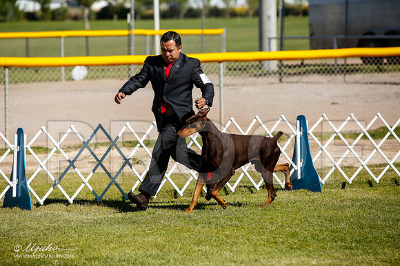 _JJ_9733-AlamogordoOct2014-HR3
