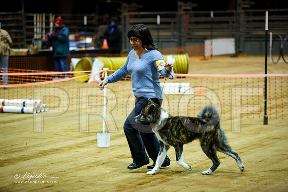 Akita-0453-MrshllDec13-HR