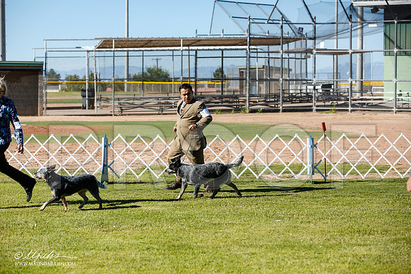 _JN_4235-AlamogordoOct2014-HR3