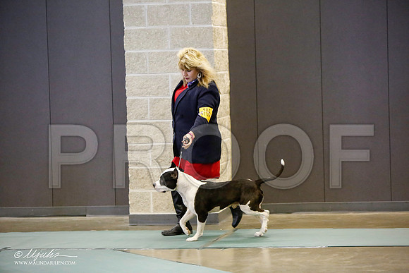 _LH_3494-BeltonJan2015-HR3