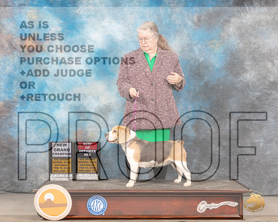 Beagle 15 #6 Sat BOS Judge Linda ClarkMMJ_4140_Mdlnd2022_HR3