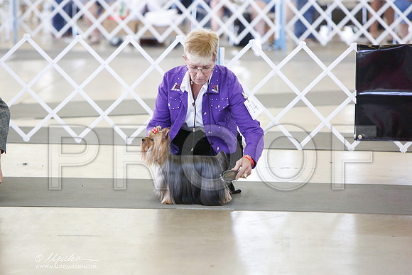 _JJ_0029-DallasJul2014-HR3