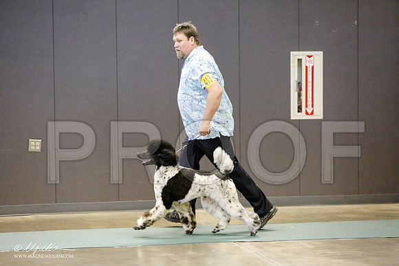 _RH_9862-BeltonJan2015-HR3