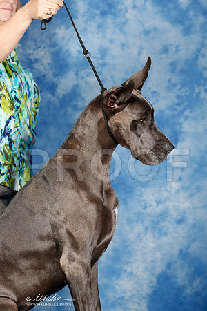_ST_6912_2-SAJul2014-HR3