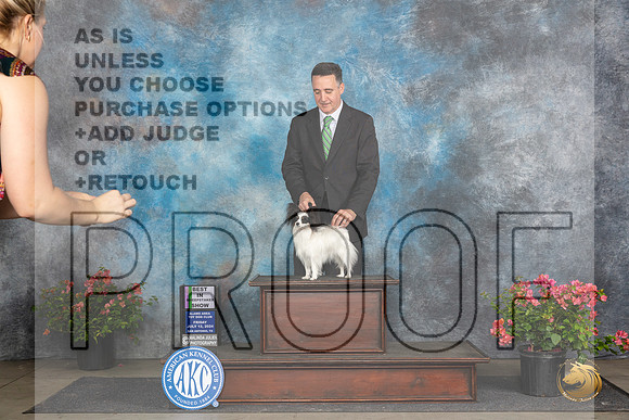 Papillion #20 SG1 Judge Claire Wisch Abraham__JP_4249_San Antonio_2024_HR3