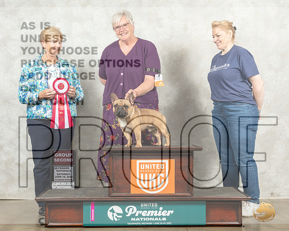 French Bulldog #239 Sat G2 Judge Karen Hynek__MJ_8555_Premier_2022_HR3