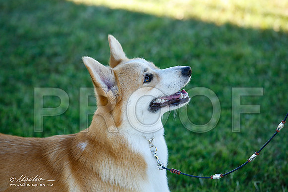 _JN_4513-AlamogordoOct2014-HR3