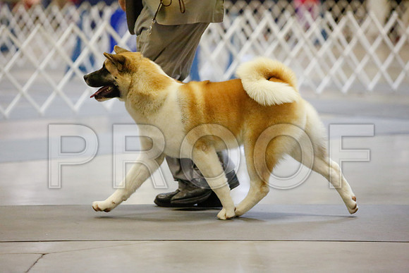 _JJ_6965-AmarilloSept2014-HR3