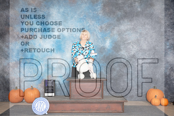 Poodle Toy #18 Sat WB NCH Judge Ray Filburn__JP_8868_Humble_2024_HR3