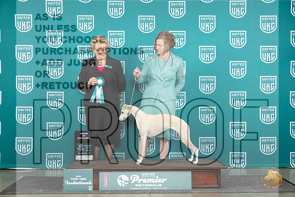 Whippet #135 Thurs T10AOE Judge Deborah Allen__JP_0830_Premier_2024_HR3