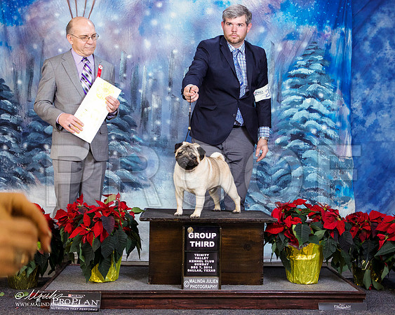 _ST_9455-DallasDec2014-HR3