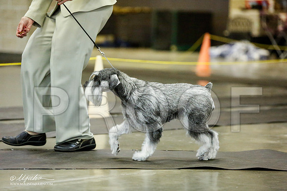 _RH_1846-BeltonJan2015IABCA-HR3