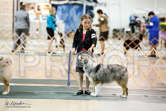 _JN_4945-ASCACollegeStationNov2014-HR3