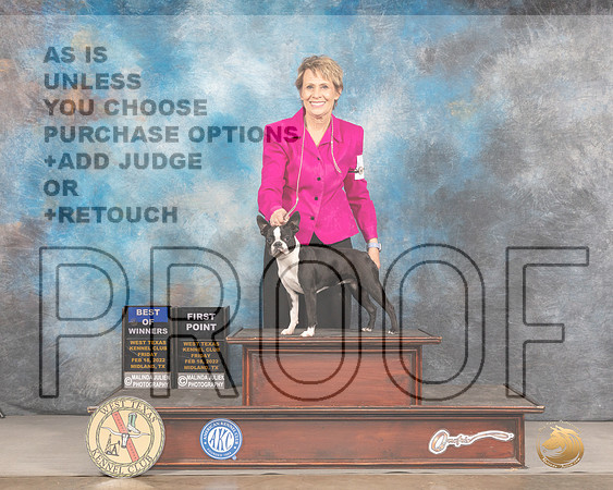 Boston Terrier #8 Fri BOW Judge Denny MounceMMJ_2903_Mdlnd2022_HR3