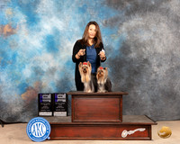 Yorkshire Terrier #9 #14 Judge Gloria Kerr
