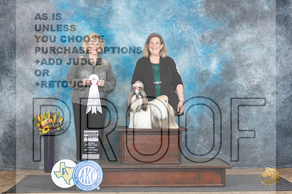 Shih Tzu #16 Sun G4 Judge Vicki Abbott__JP_0097_Abilene_2024_HR3