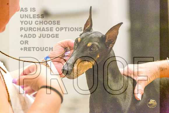 Manchester Terrier MTOY Candids-JJL_2328-Hstn2022_HR3