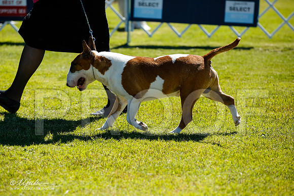 _JN_4849-AlamogordoOct2014-HR3
