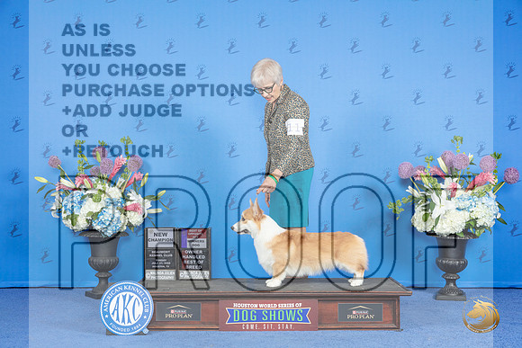 Pembroke Welsh Corgi #11 SUN WD BOS BOBOH NC Judge James Moses__JP_0527_Houston_2024_HR3