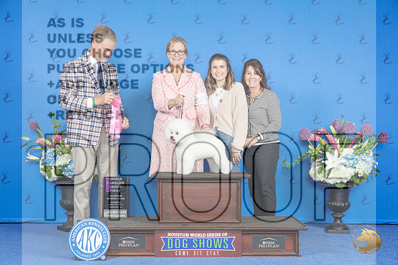 Bichon Frise #16 THUR OHG1 Judge Wood Wornall__JP_8462_Houston_2024_HR3