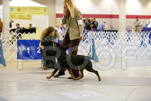 _JJ_7743-AmarilloSept2014-HR3