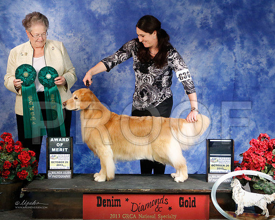 AOMBestVet-5463-WFOct2013-HR
