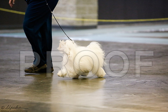 _J3L0013-BeltSep2014-HR