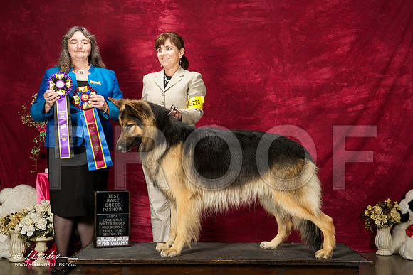 _ST_3017-BeltonJan2015IABCA-HR3