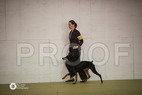 Dobe-7442-HtoJan14-HR