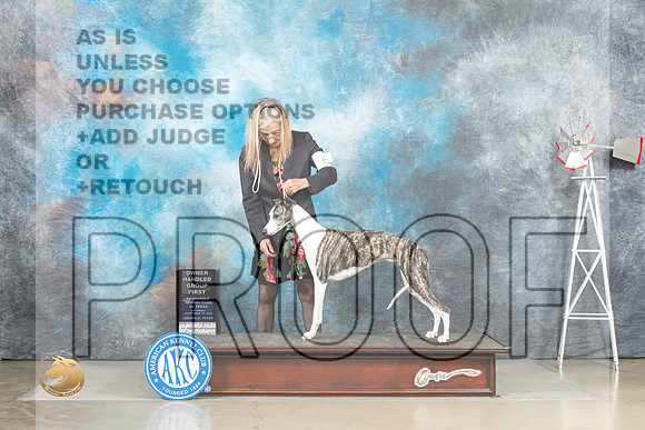Whippet #6 Sat OHG1 Judge Joan Liebes_MJ_4710_Amarillo_2022_HR3