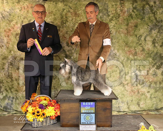 MinSch-6816-SANov13-HR