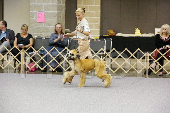 _JJ_9229-AfgBeltonOct2014-HR3