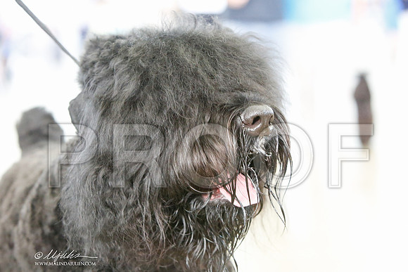 _JJ_0723-DallasJul2014-HR3