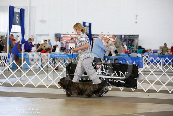 _JN_6653-DalJul2014-HR3