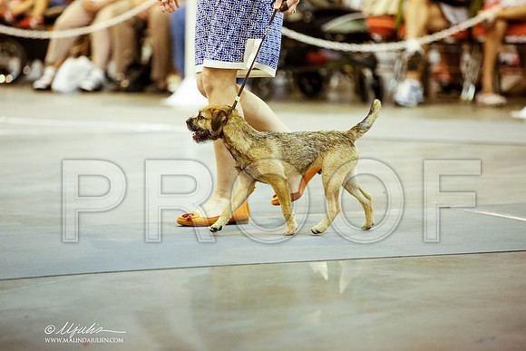 _JJ_5822-DalJul2014-HR3
