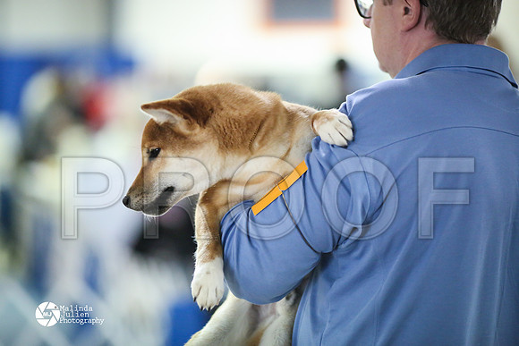 shib-6711-HtoJan14-HR