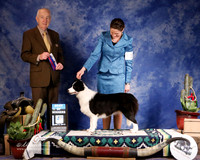 Border Collie #16 Fri BOW AI Albrecht Christy and Frank Bayliss Judge R Hartinger