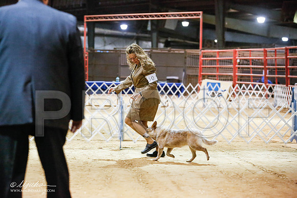_JN_4128-2-GlenRoseJan2015-HR3