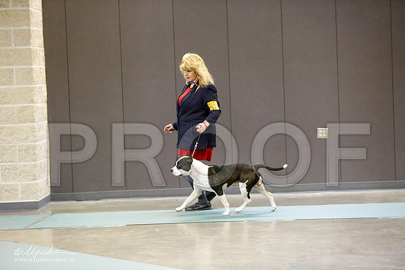 _RH_0369-BeltonJan2015-HR3