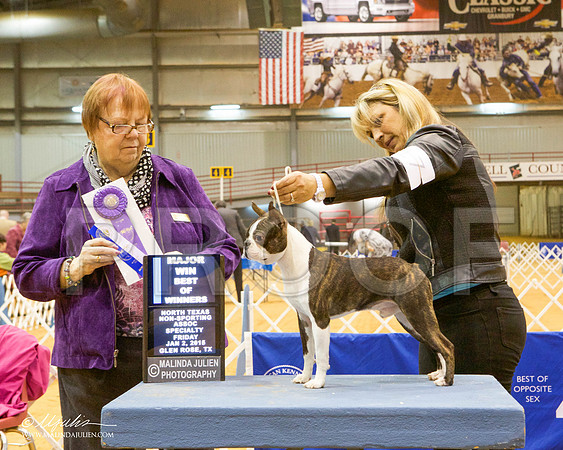 _MJ_5213-GlenRoseJan2015-HR3