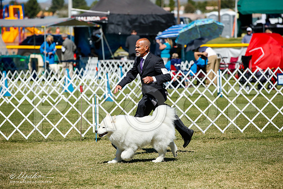 _JJ_0924-AlamogordoOct2014-HR3