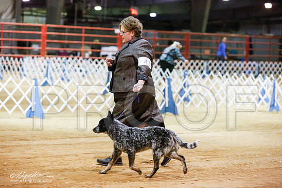 _JN_4022-2-GlenRoseJan2015-HR3
