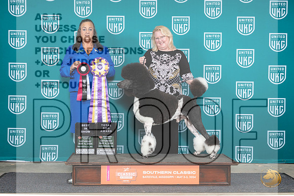 Poodle Std MC #128 Sat1 BISTD Judge Valerie Piltz__JP_6520_BatesvilleMS_2024_HR3