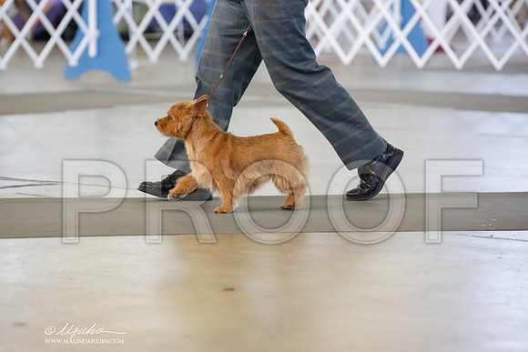 _JN_6443-DalJul2014-HR3