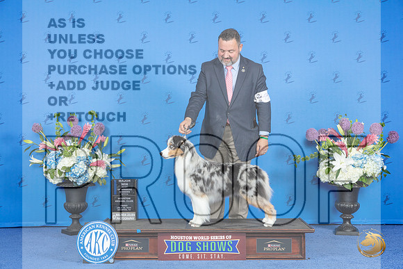 Australian Shepherd #20 FRI WB BOW M Judge Annella Cooper__JP_9053_Houston_2024_HR3