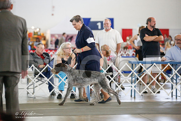 _JJ_6473-DallasJul2014-HR3