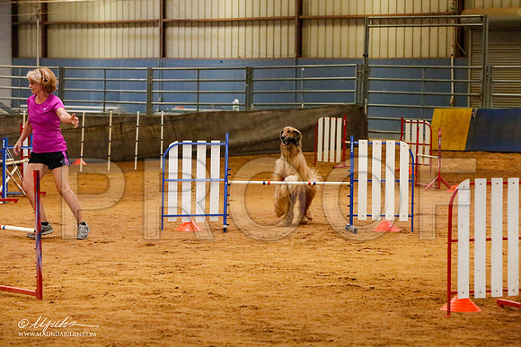 _MJ_2313-AfgBeltonOct2014-HR3