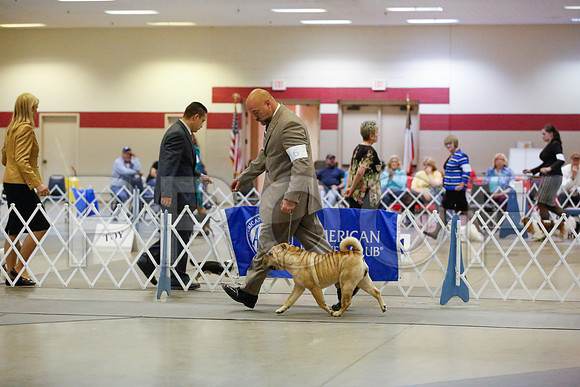 _JN_0505-AmarilloSept2014-HR3